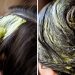 Avocado Traditional Hair Mask